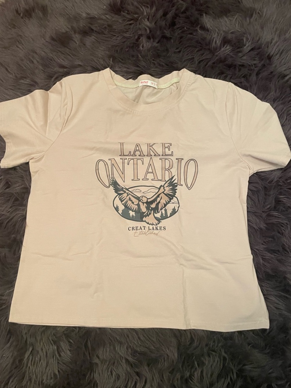 ROMWE Graphic "Lake Ontario" Tee